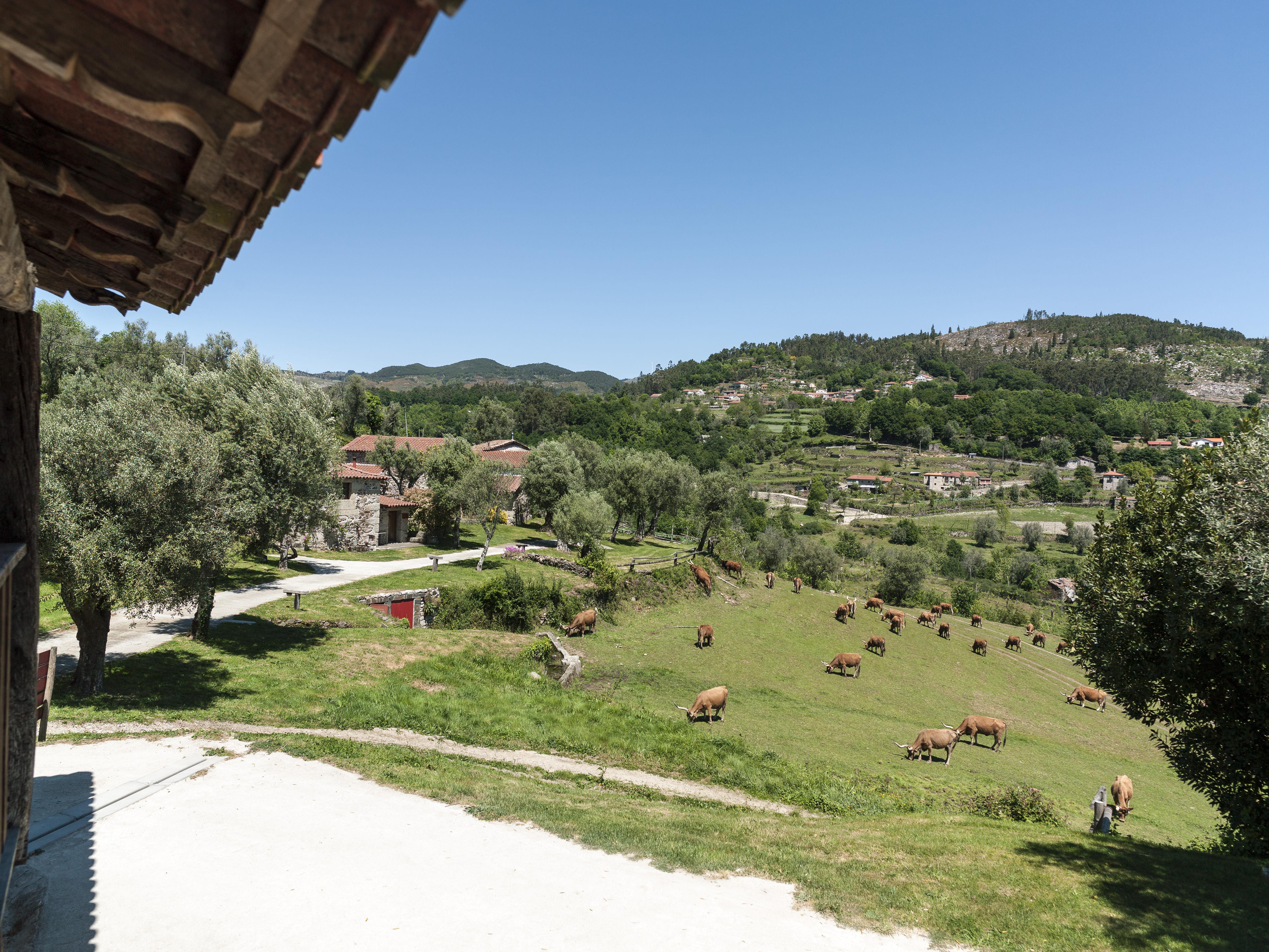Quinta Do Rapozinho Βίλα Cabeceiras de Basto Εξωτερικό φωτογραφία